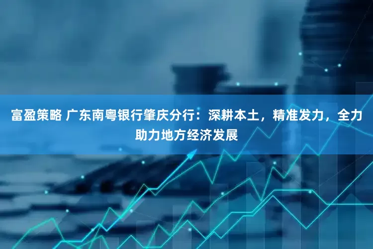 富盈策略 广东南粤银行肇庆分行：深耕本土，精准发力，全力助力地方经济发展