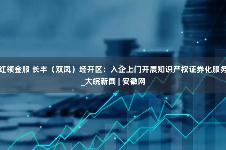 红领金服 长丰（双凤）经开区：入企上门开展知识产权证券化服务_大皖新闻 | 安徽网
